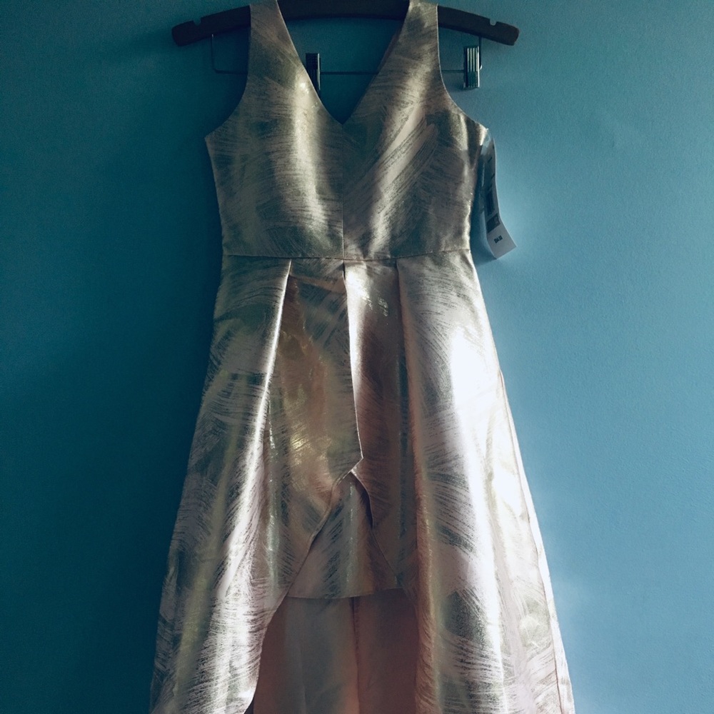 Pink and Gold Dress
